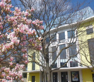 Agenda Culture – Décembre